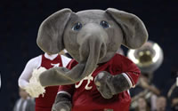 50 Former Alabama Players Have Made It To A Super Bowl