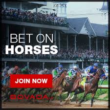 Horse Racing Betting at Bovada